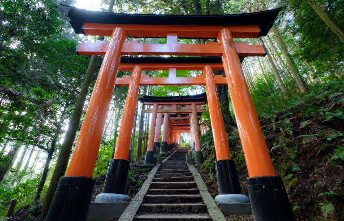 Kyoto'nun Ruhunda Yolculuk: Bir Keşif, Dönüşüm ve Uyanış Hikayesi